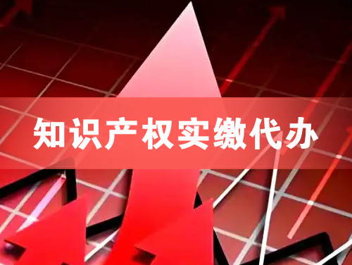 永济知识产权实缴资本代办